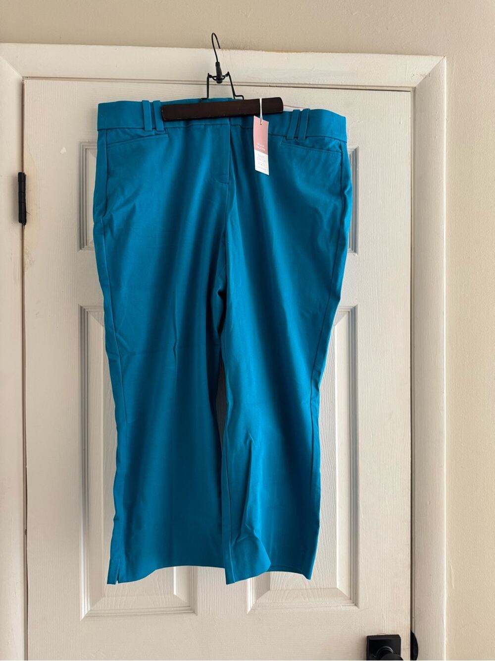 Lane Bryant Teal Ankle Crop Pants